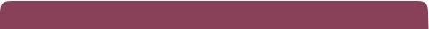  Lorem ipsum dolor 2010