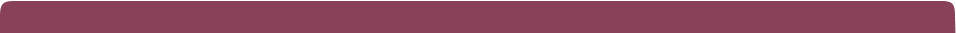  Lorem ipsum dolor 2010